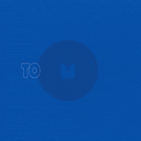 Football Nfl GIF by Seattle Seahawks