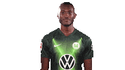 Josuha Guilavogui Instagram Sticker by VfL Wolfsburg