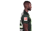Josuha Guilavogui Instagram Sticker by VfL Wolfsburg