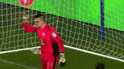 happy football GIF