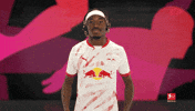 Rb Leipzig Cheering GIF by Bundesliga