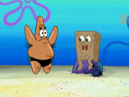 season 6 GIF by SpongeBob SquarePants
