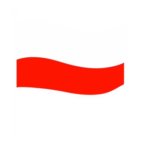 Independence Day Flag Sticker by PokaDesign