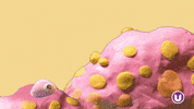Stop Motion Animation GIF by School of Computing, Engineering and Digital Technologies