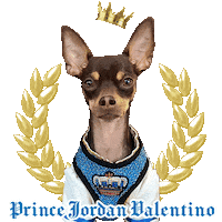 Dog Fashion Prince Sticker by Pimp Yo Pets