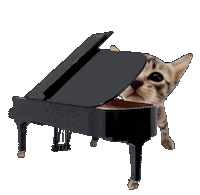 Cat Kitty Sticker