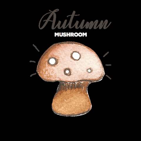 creartraffy animation autumn mushroom fungo GIF