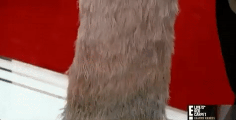 red carpet grammys GIF by E!