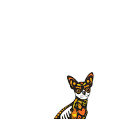 Party Chihuahua Sticker by Don Cosmé Tequila