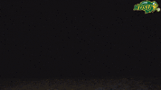 North Dakota State Strobe GIF by NDSU Athletics