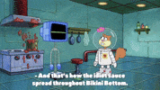 season 9 episode 25 GIF by SpongeBob SquarePants