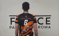GIF by Fenice Pallavolo Roma
