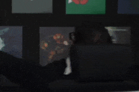 GIF by Bonjwa