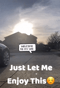 Enjoy Whataview GIF by Flickplay