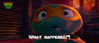 What Happened? 