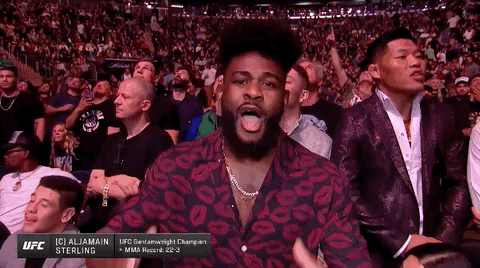 Aljamain Sterling Sport GIF by UFC