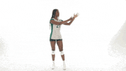 Huntington University Volleyball GIF by FDN Sports