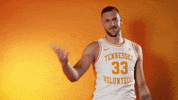 Lets Go Sport GIF by Tennessee Athletics