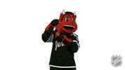 Ice Hockey Sport GIF by NHL