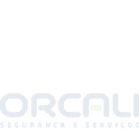 Brand Camera Sticker by ORCALI