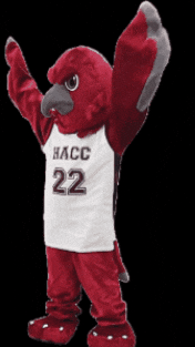 Hacc GIF by HACC, Central Pennsylvania's Community College