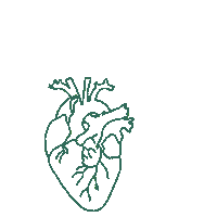 Communityhealth Sticker by Zocalo Health