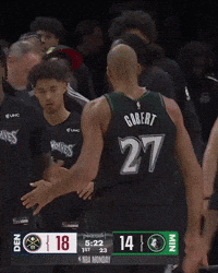 Nba Rudygobert GIF by Minnesota Timberwolves