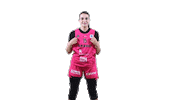 Baloncesto Celebrating Sticker by Araski