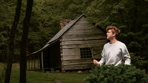 Wizard Woods GIF