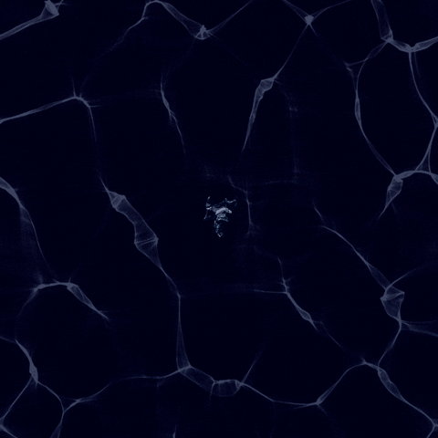 happyantsstudio animation loop blue water GIF