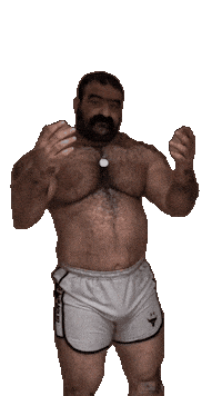 Gay Bear Sticker by Database數據