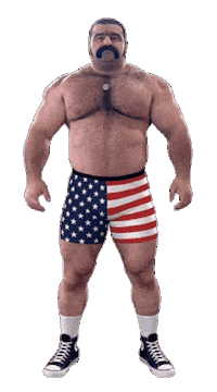 American Usa Sticker by Database數據