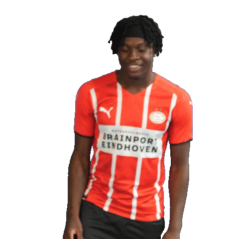 Football Celebrate Sticker by PSV