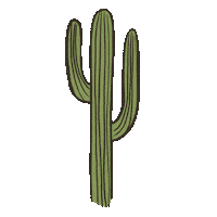 Grand Canyon Life Sticker