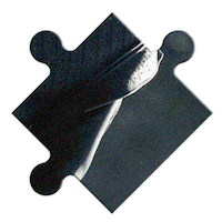 Matthew Clairmont Puzzle Sticker by Sky