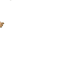 Premiership Rugby Sticker by Exeter Chiefs