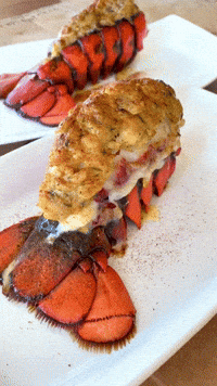 Lobster GIF by The Crab Place