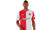 Football Soccer Sticker by SK Slavia Praha