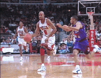 chicago bulls GIF