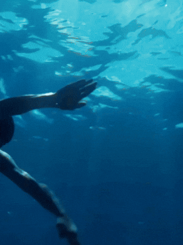 Italy Bianca GIF by CATTURAProduction