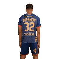 Dip Srvhb Sticker by Saint-Raphaël Var Handball