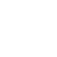 Plants Monstera Sticker