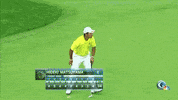 dustin johnson no GIF