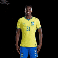 Fifa World Cup Brazil GIF by Respective