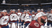 Stanley Cup Hockey GIF by NHL