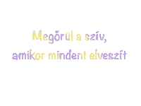 Dalszoveg Sticker