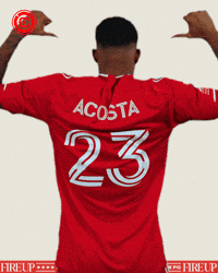 Chicago Fire Celebration GIF by Chicago Fire Football Club