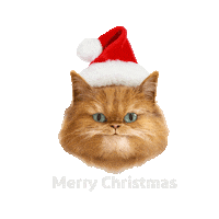 Santa Uae Sticker by Visit Ras Al Khaimah RAKTDA