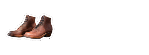 Sundance Whites Sticker by Rose Anvil