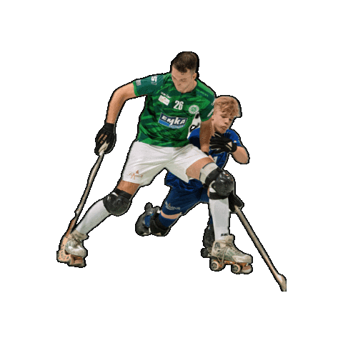 Rollhockey Sticker by RSC Cronenberg